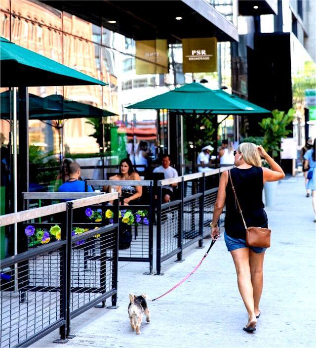 Dog Friendly Restaurants In New York