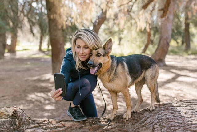 Dog Parks In Las Vegas