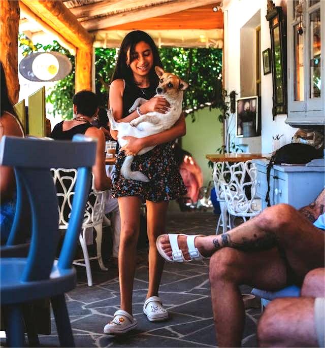 Dog Friendly Restaurants In Wilmington NC