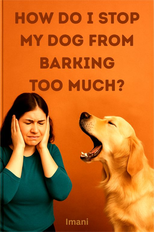 How Do I Stop My Dog From Barking Too Much